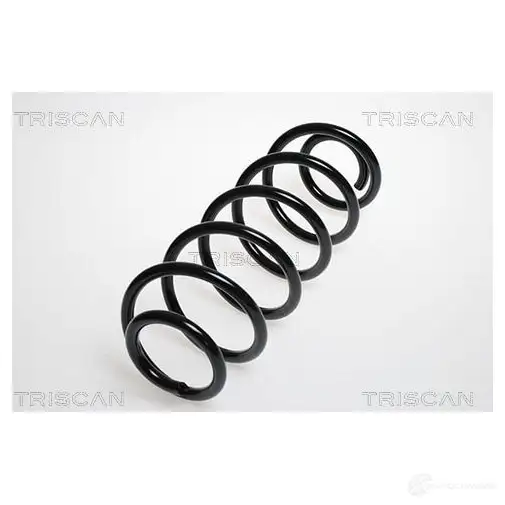 Пружина TRISCAN 7394410092995 IGQK G 1155594 87501592