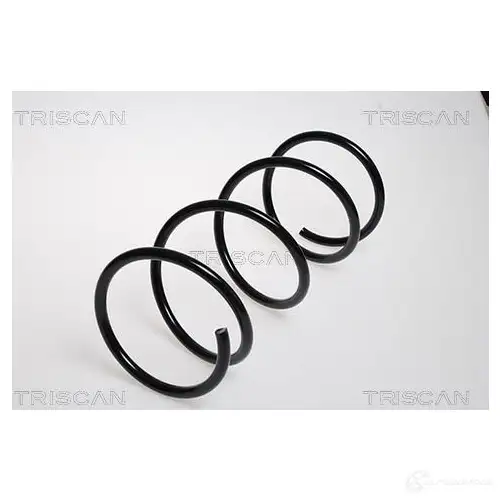 Пружина TRISCAN 7394410096443 K TPCP 875028124 1156623