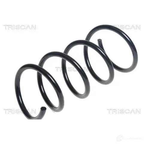 Пружина TRISCAN 875025125 7394410136132 1213711506 14P H6