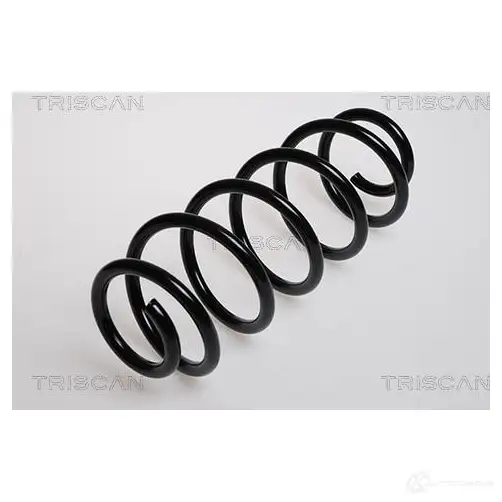 Пружина TRISCAN 7394410034131 1156887 875029059 T F6KNOI