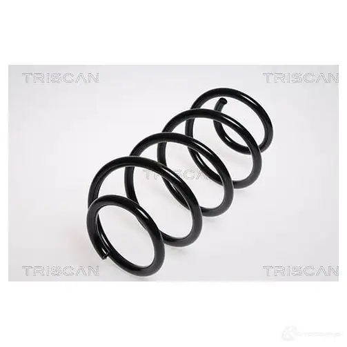 Пружина TRISCAN 7394410098096 1156972 875029144 4BT BOE