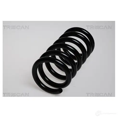Пружина TRISCAN 5HKM KN1 87501697 7394410005643 1155796
