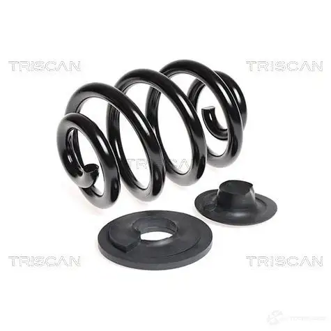 Пружина TRISCAN 1157272 87502997a O0 65H3