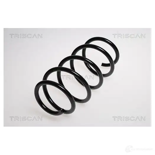 Пружина TRISCAN 7394410101031 3FO8Y 4 875024123 1156228