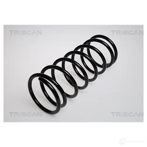 Пружина TRISCAN GPAF6T 2 7394410001898 1156512 87502713