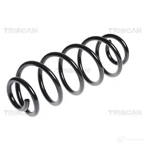Пружина TRISCAN 44T5 09 7394410117599 875029239 1157070