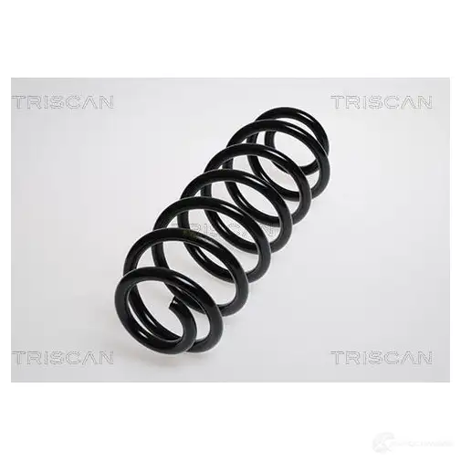 Пружина TRISCAN 875029217 1157047 7394410105787 MDPS R