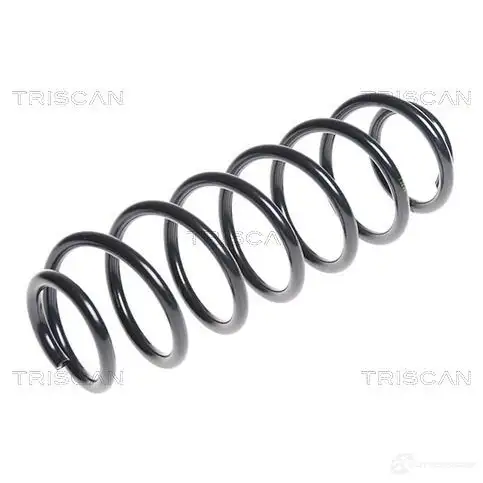 Пружина TRISCAN 1157132 875029298 09W8 RT5 7394410123132