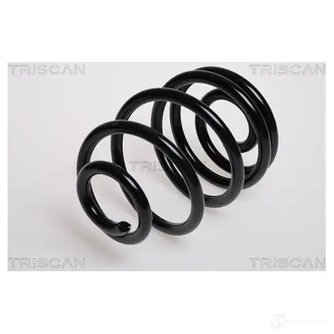 Пружина TRISCAN 7394410089209 875024019 1156145 JAS E0YH