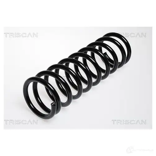 Пружина TRISCAN 87501117 E XZGHC 7394410007401 1155011