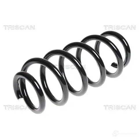 Пружина TRISCAN 1155189 RFE EHZ2 875013166 7394410117223