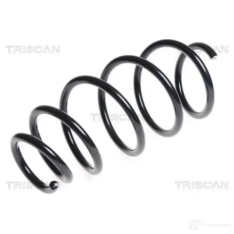 Пружина TRISCAN N 41A20 1156280 7394410120957 875024172