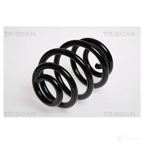 Пружина TRISCAN 7394410090632 87501143 R EHXK 1155043