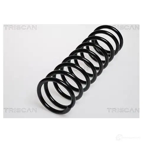 Пружина TRISCAN 1155756 87501651 G2 L3NN 7394410004820