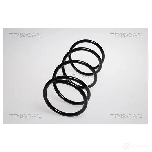 Пружина TRISCAN X5DVD GN 7394410106234 87506837 1157783