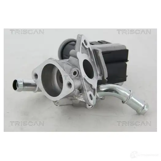 Клапан ЕГР TRISCAN 5710476204455 881316036 15 FK4G 1158823 - Изображение 1
