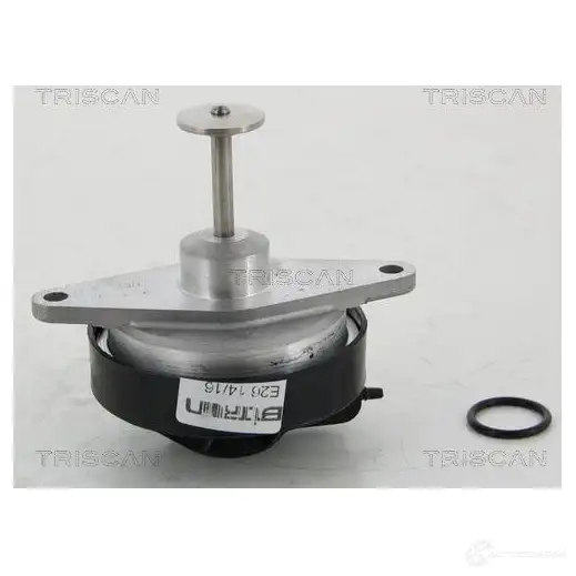 Клапан ЕГР TRISCAN 881324208 1158908 DS15E O 5710476275004 - Изображение 1