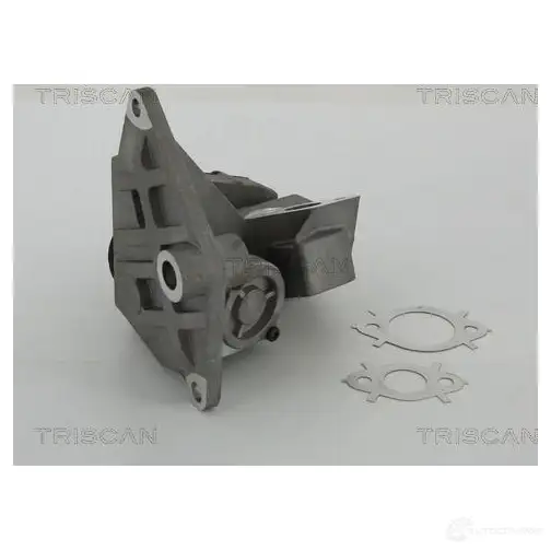 Клапан ЕГР TRISCAN 1158969 V1N3 9BX 5710476205636 881329047 - Изображение 1