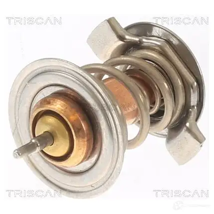 Термостат ож TRISCAN 862052583 1437979962 BF28 TDX изображение 0