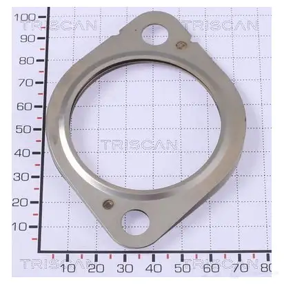 Прокладка TRISCAN YREG J0 881399152 1437851367