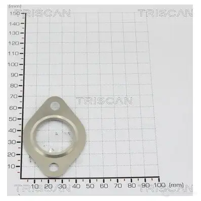 Прокладка TRISCAN H ZZSZ 88139925 4656501