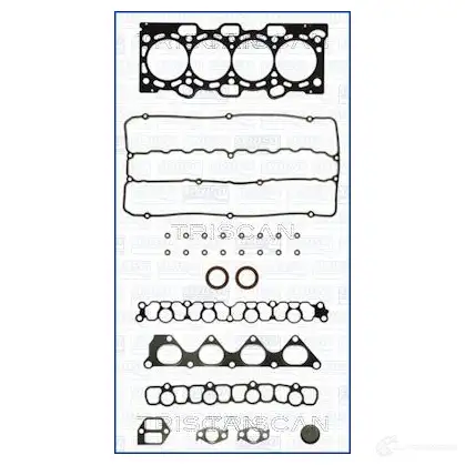 Комплект прокладок головки блока TRISCAN 8427769689994 ICHKN O 1113942 5984254 изображение 0