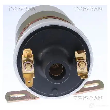 Катушка зажигания TRISCAN RB VYGS 5710476266934 1160365 886010038 изображение 1