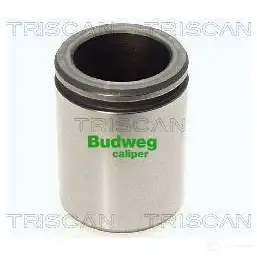 Поршень тормозного суппорта TRISCAN TH9C IE 5705444201499 8170234415 1130278