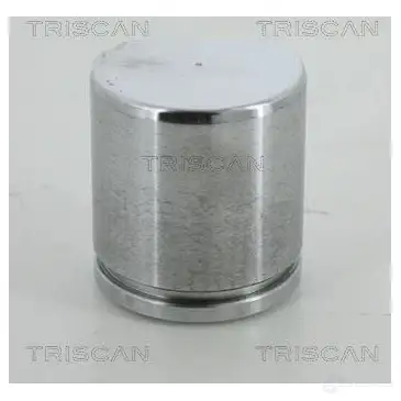 Поршень тормозного суппорта TRISCAN 1130333 EJE 1E 5705444368901 8170234613