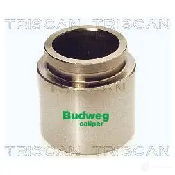 Поршень тормозного суппорта TRISCAN 8170234524 M 82ZCE 1130306 5705444197136