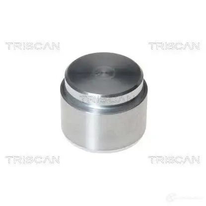 Поршень тормозного суппорта TRISCAN J1 WP6 1130273 8170234410 5705444034394