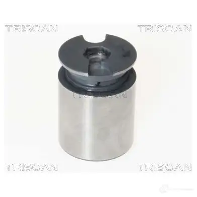 Поршень тормозного суппорта TRISCAN 8170233863 F5M YC 5705444378764 1130142