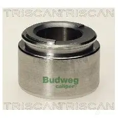 Поршень тормозного суппорта TRISCAN 5705444033601 QZS LK 8170234211 1130210