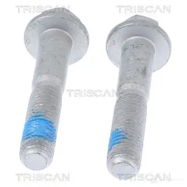 Болты гайки подвески TRISCAN 1437866473 ZD I4GW 850010402