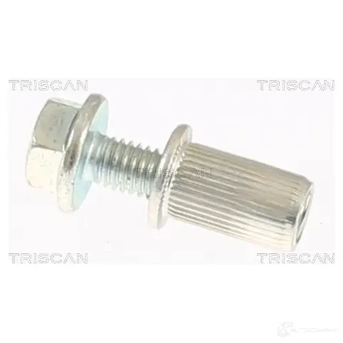 Болты гайки подвески TRISCAN 1437866478 38M1 D38 850010412