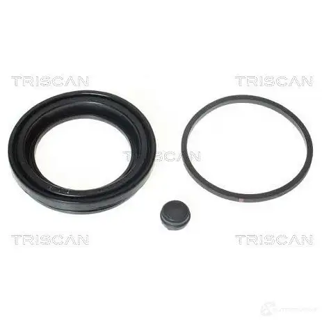 Уплотнение поршня тормозного суппорта TRISCAN R DSE1M 5705444206357 8170186032 1129008