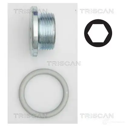 Сливная пробка поддона TRISCAN 5710476310682 1417864827 EDUX VF9 95002904