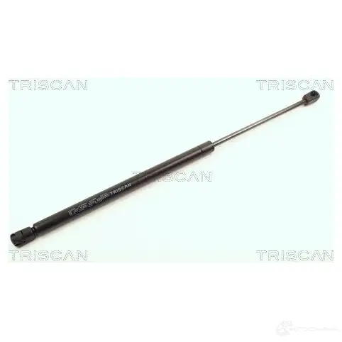 Амортизатор багажника, упор задней двери TRISCAN WA 6EUN 5709147101438 87101616 1153758 - Изображение 1