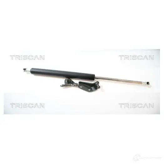 Амортизатор багажника, упор задней двери TRISCAN BZ QUQ 871040225 5709147836026 1154569 - Изображение 1