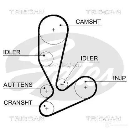 Ремень ГРМ TRISCAN PSWVQ 1P 86455592xs 1152053 изображение 0