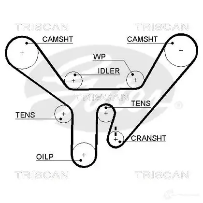 Ремень ГРМ TRISCAN 1151985 E8BF W 86455518xs изображение 0