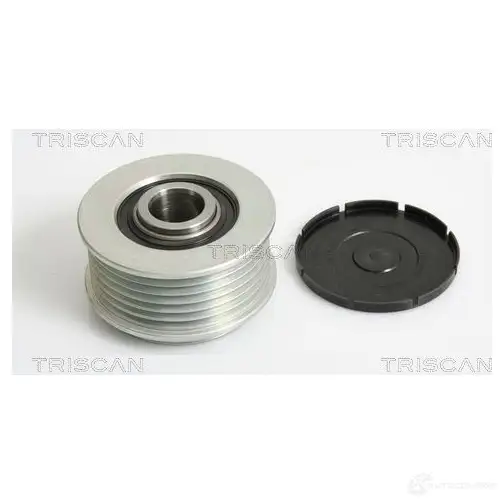 Приводной ремень, поликлиновой TRISCAN 6JYGG L 8640400906sf 1149772 - Изображение 1