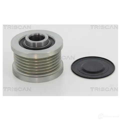 Приводной ремень, поликлиновой TRISCAN 8640500705sf 1149851 6 BWMH - Изображение 1