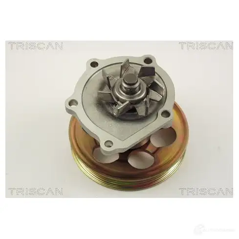 Водяной насос, помпа TRISCAN BFO CLH 5709147718629 1147807 860013010