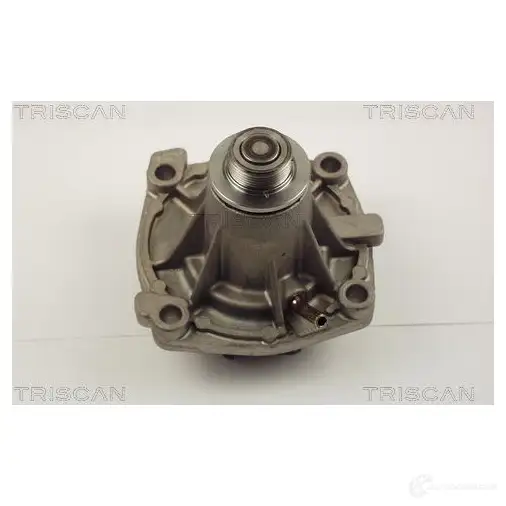 Водяной насос, помпа TRISCAN 1147689 5709147987919 W36 O3 860010011