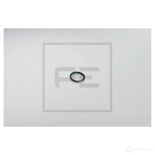Уплотнительное кольцо поворотной цапфы PETERS ENNEPETAL GR N3H 1439160362 03113100a