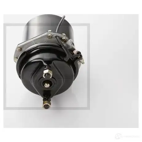 Подпружиненный цилиндр PETERS ENNEPETAL 04645300a GA09 UT 1439268408