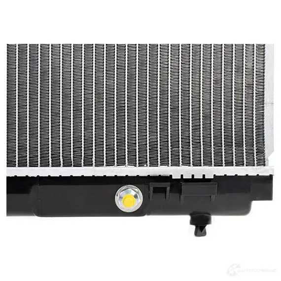 Радиатор охлаждения двигателя RIDEX DK2A6W O 1437646681 470r0041 изображение 1