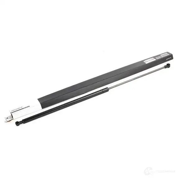 Амортизатор капота RIDEX H0 2G9 1437745630 514g0102
