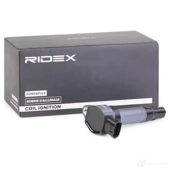 Катушка зажигания RIDEX 689c0301 1437943372 0E4 17F изображение 1